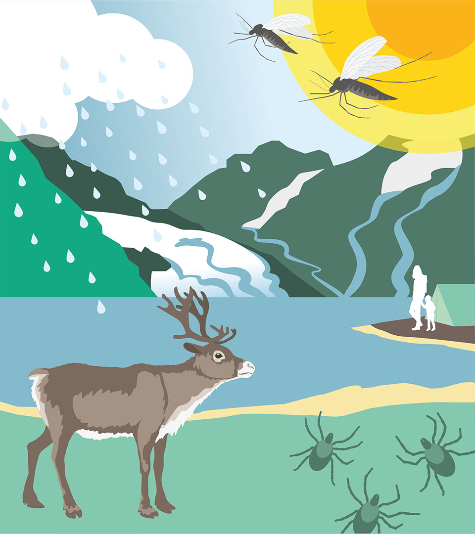 Illustration av en ren, f&auml;stingar, myggor och m&auml;nniskor vid ett t&auml;lt i fj&auml;llen