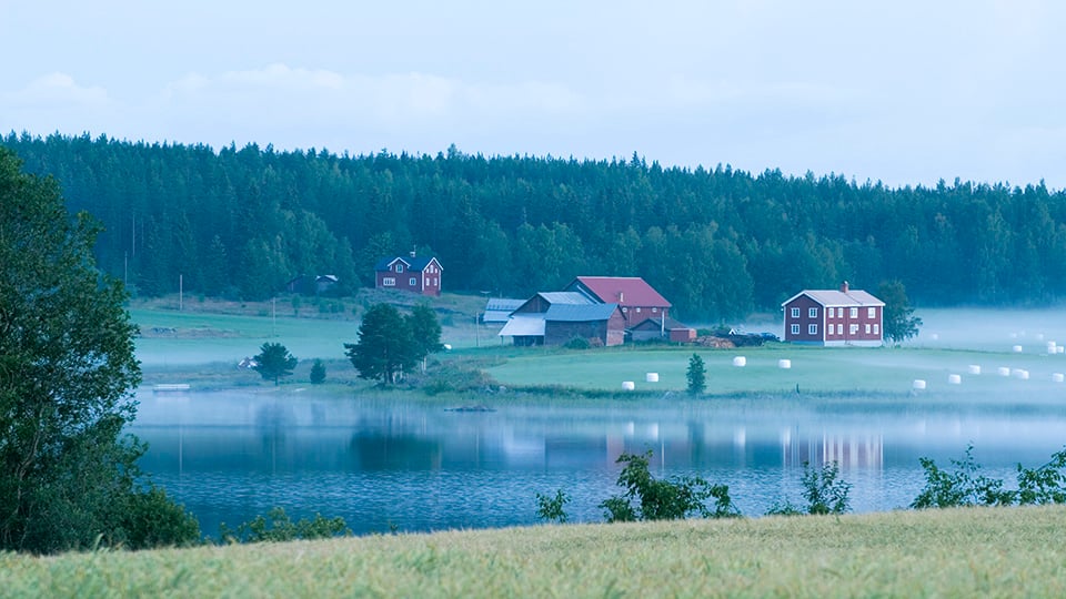 G&aring;rd i glesbygd, vid sj&ouml; med skog bakom. H&auml;lsingland, Sverige