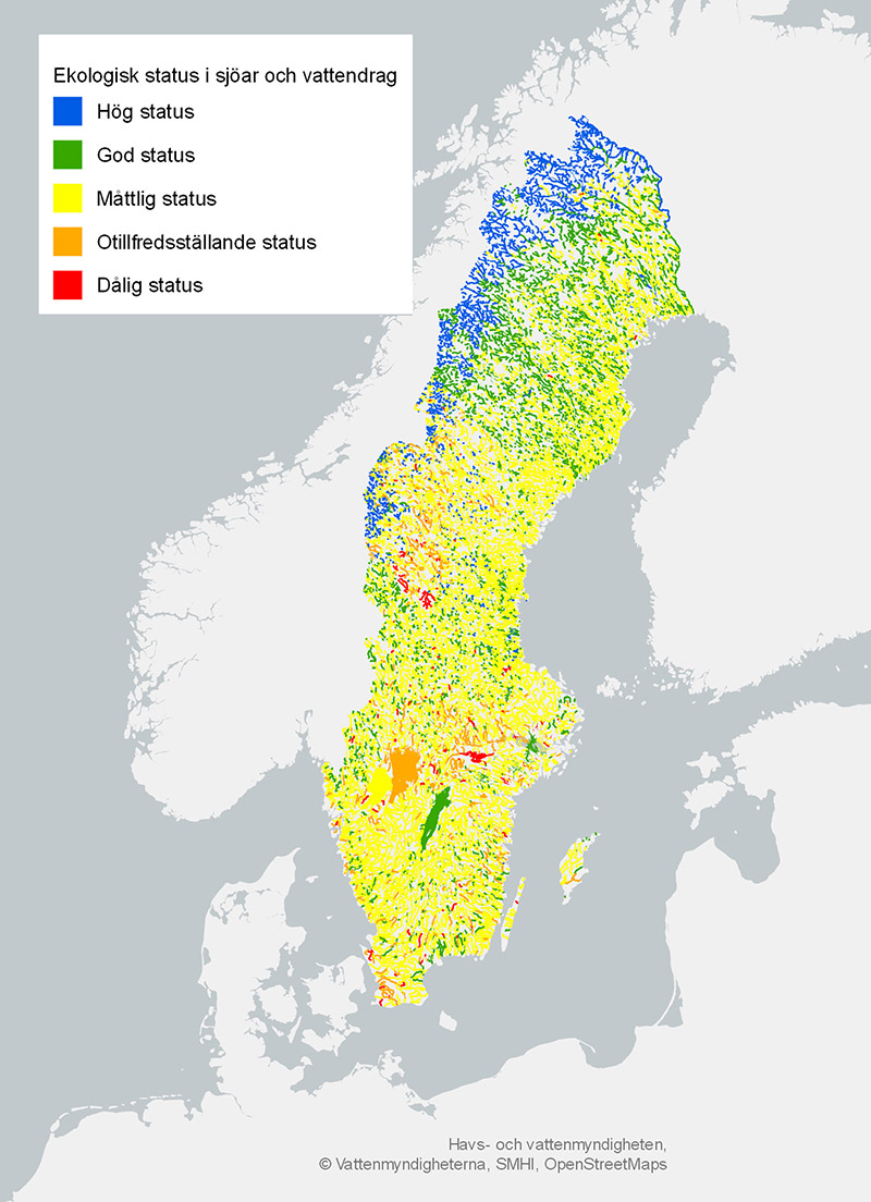 Ungefär hälften av sjöarna och en tredjedel av vattendragen i Sverige har god eller hög ekologisk status
