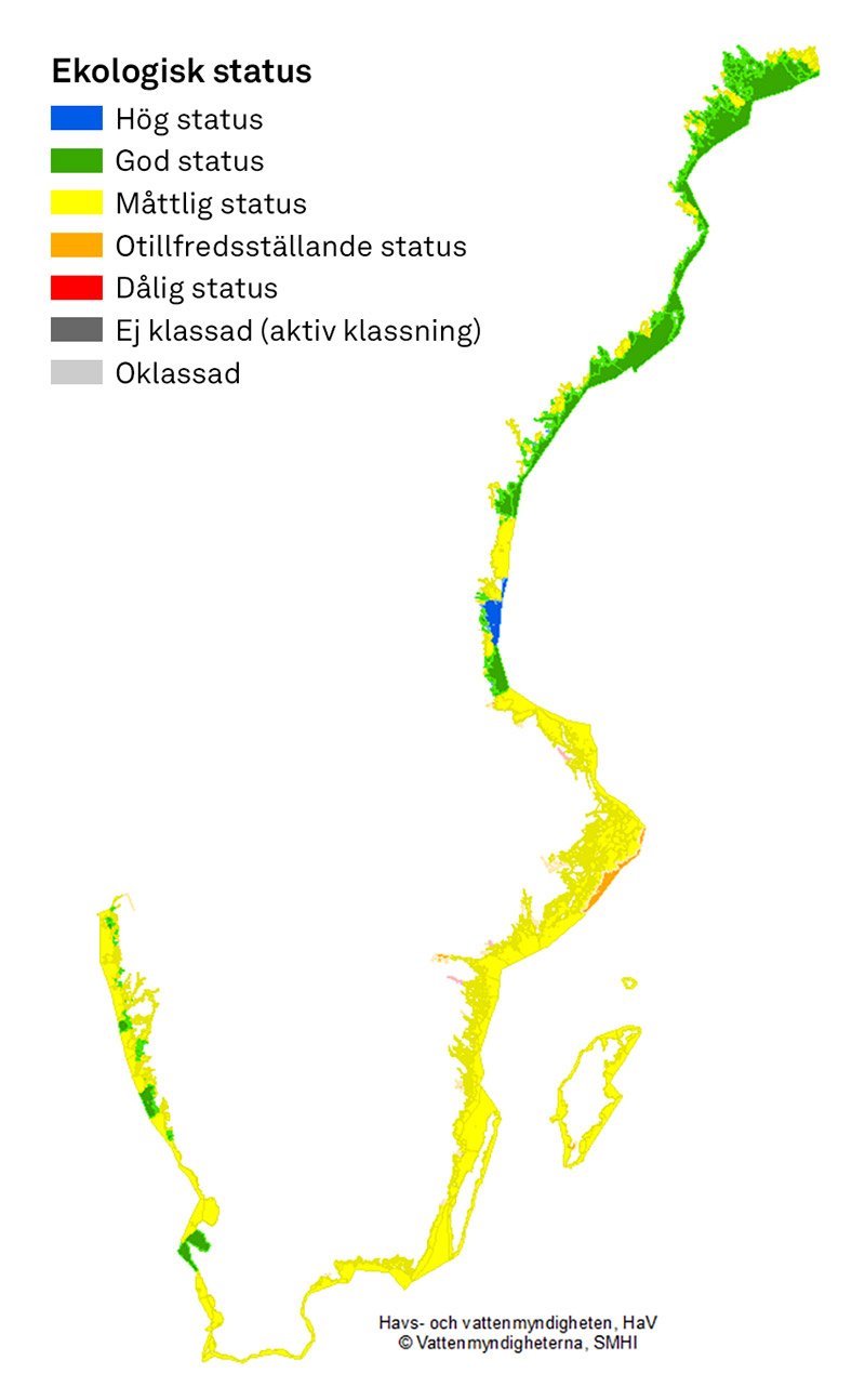 Den ekologiska statusen i kustvatten är sämst i de sydöstra delarna av Sverige och bäst i de norra delarna