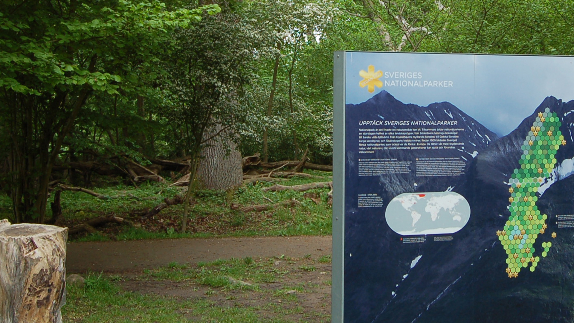 Skylt med sverigekarta som markerar nationalparkerna och en stubbe framför en grusväg och träd.