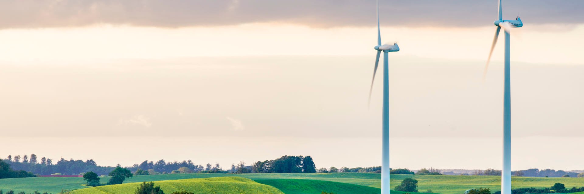 Wind turbine in agricultural landscape.