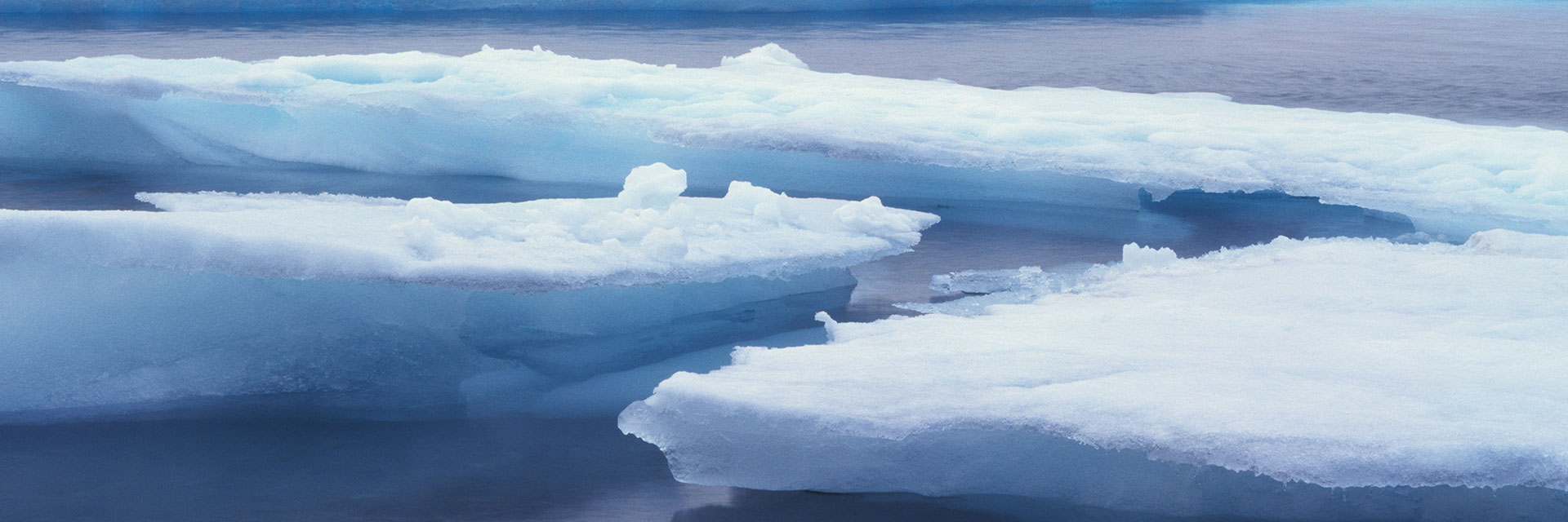 Melting ice floes, Arctic.
