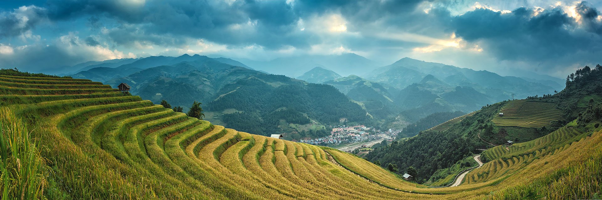 Rice plantation, China.