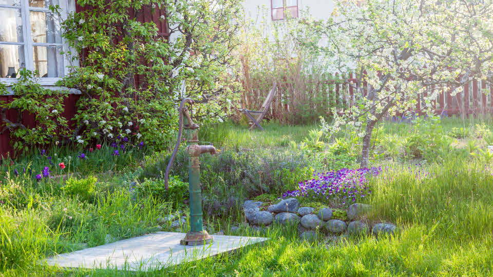 En trädgård med vattenpump och blommor
