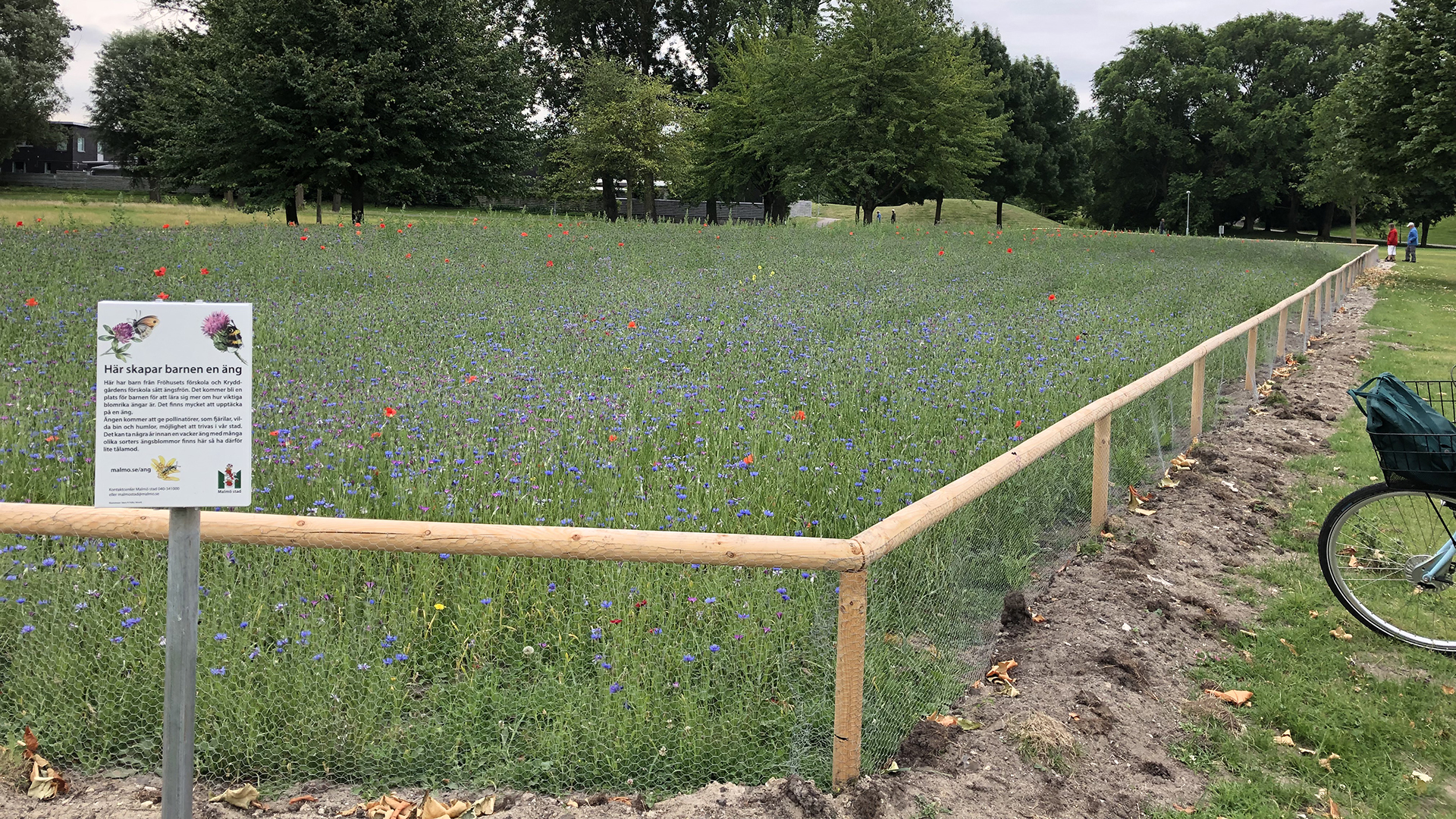 En blomsteräng med ett staket runt och en informationsskylt