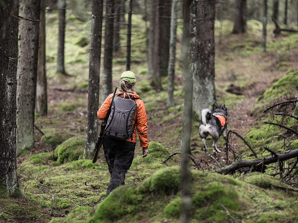 Jägare med hund i skogen.