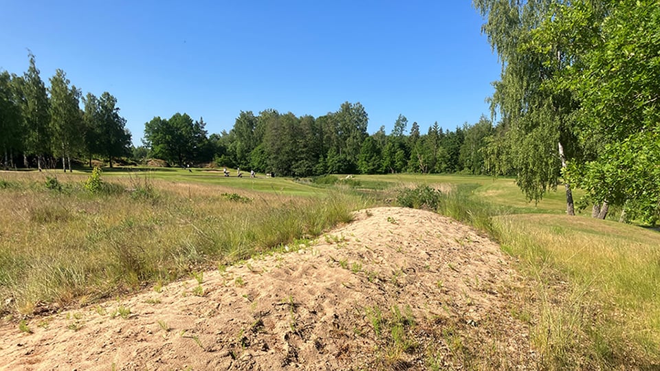 Bild av solbelyst anlagd sandbädd vid Mjölby golfbana där många marklevande steklar hittades under inventeringen 2023. Foto: Tommy Karlsson länsstyrelsen Östergötland