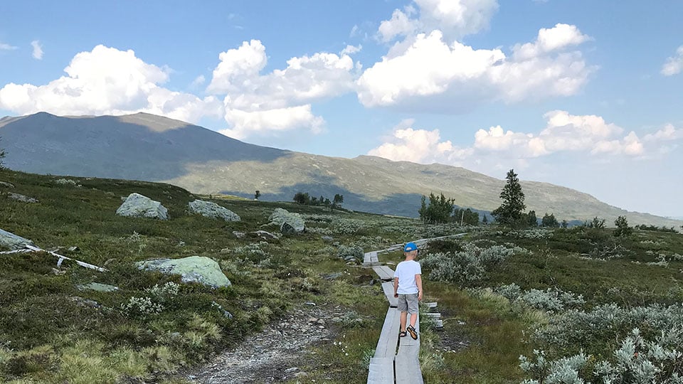 Fotograf: Jenny Lindman Komstedt Fjällvandring längs Jämtlandstriangeln.