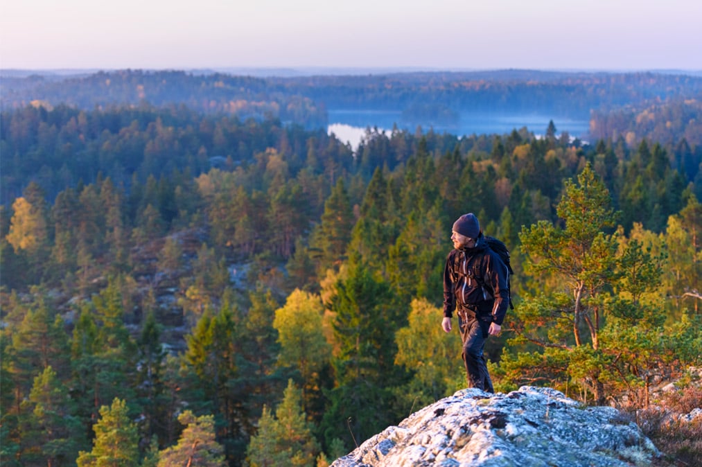 Man på berg blickar ut över skog