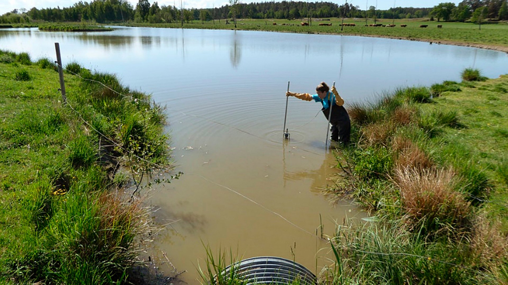 Sedimentprovtagning av en person i en mindre sjö.