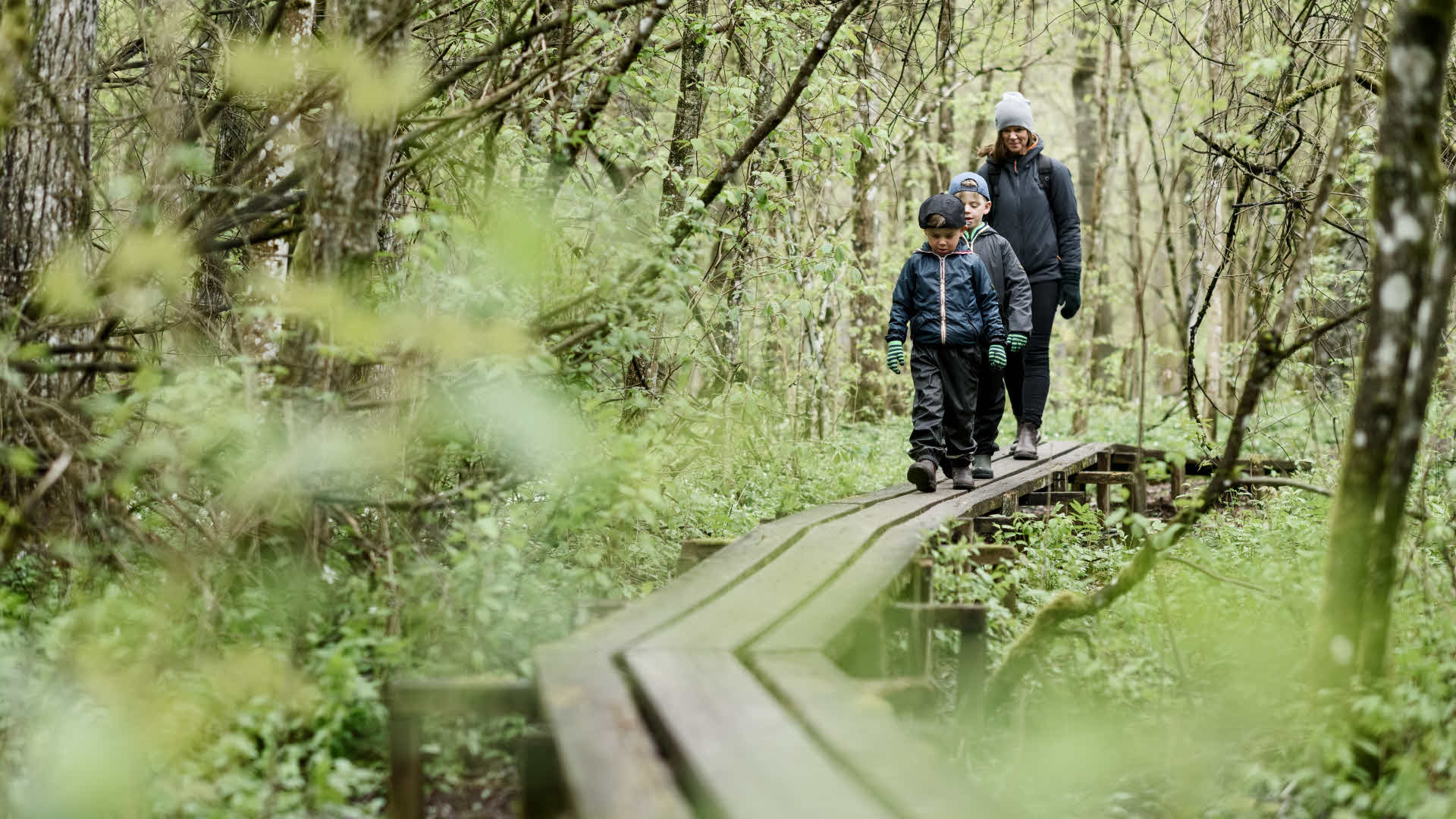 Mamma med två barn vandrar på träspång i naturen