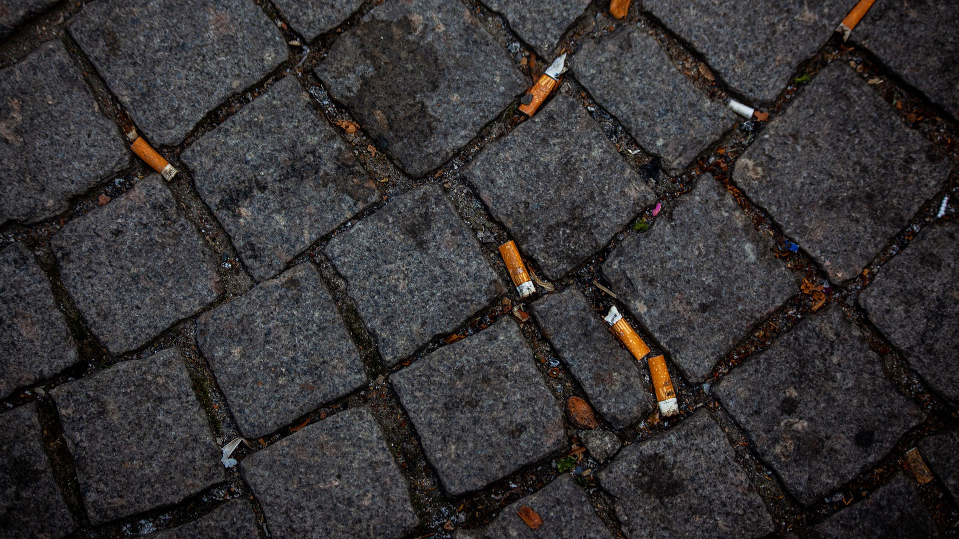 Cigarettfimpar på gata med kullerstenar