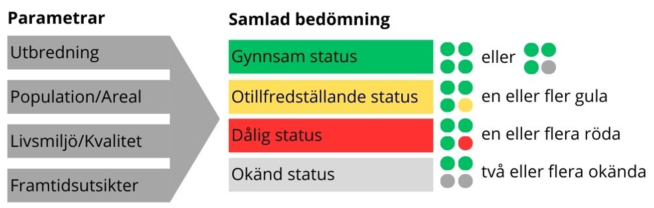 Figur som visar faktorer som vägs in vid bedömning av bevarandestatus.