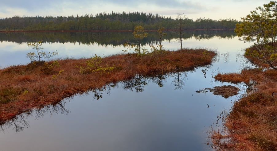 svartsjon-naturreservat.jpg