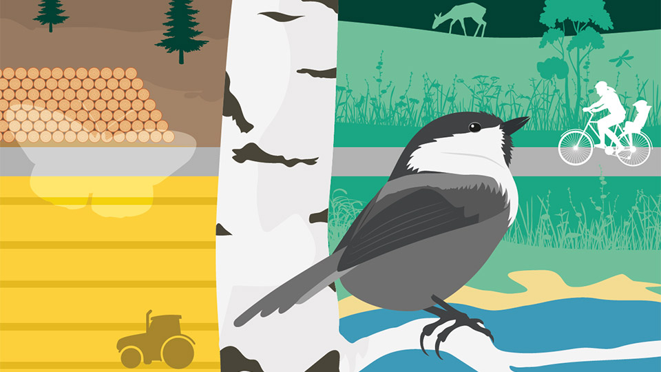 Illustration av en fågel på en björkgren, ett landskap med traktor, en cyklist och ett rådjur i bakgrunden