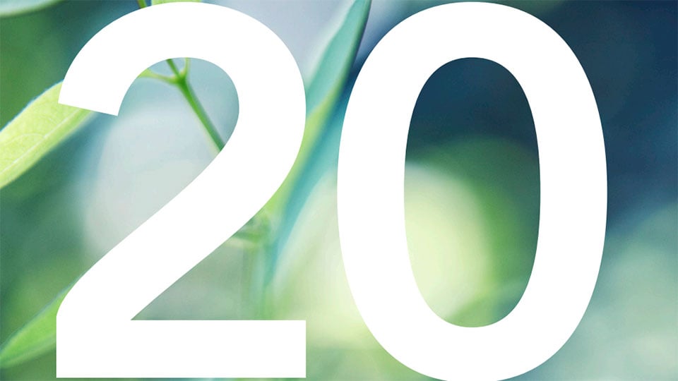 Siffran 20, framsidan av Naturvårdsverkets årsredovisning 2020. 