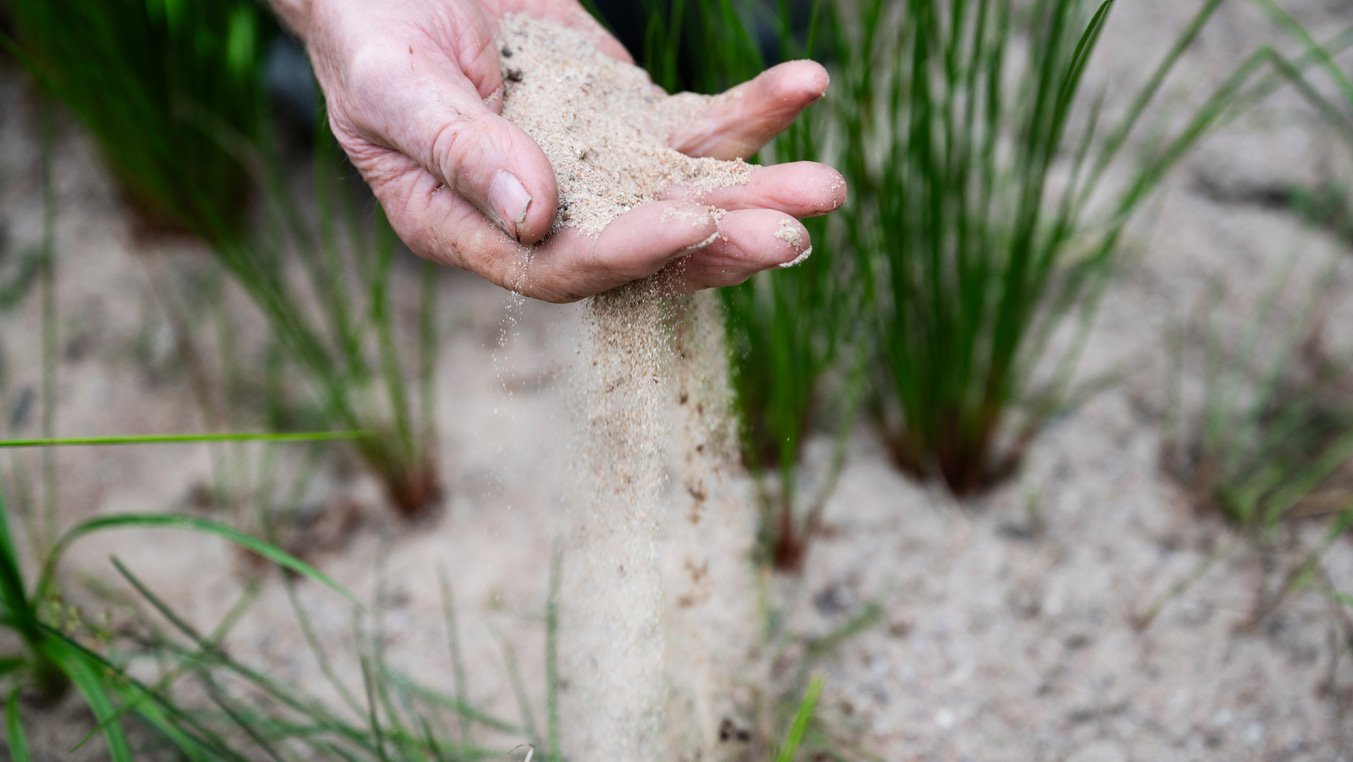 Närbild på hand med sand i som strilar nedåt