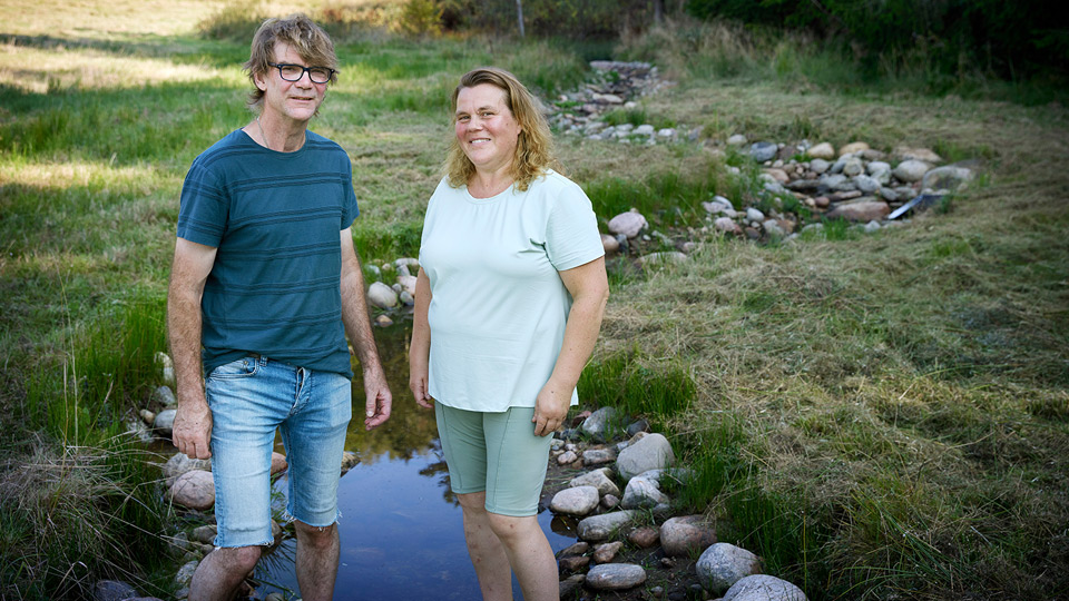 Två personer står framför en slingrande bäck på äng