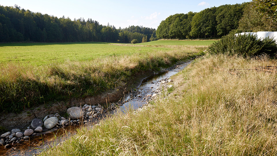 Dike med vatten på äng