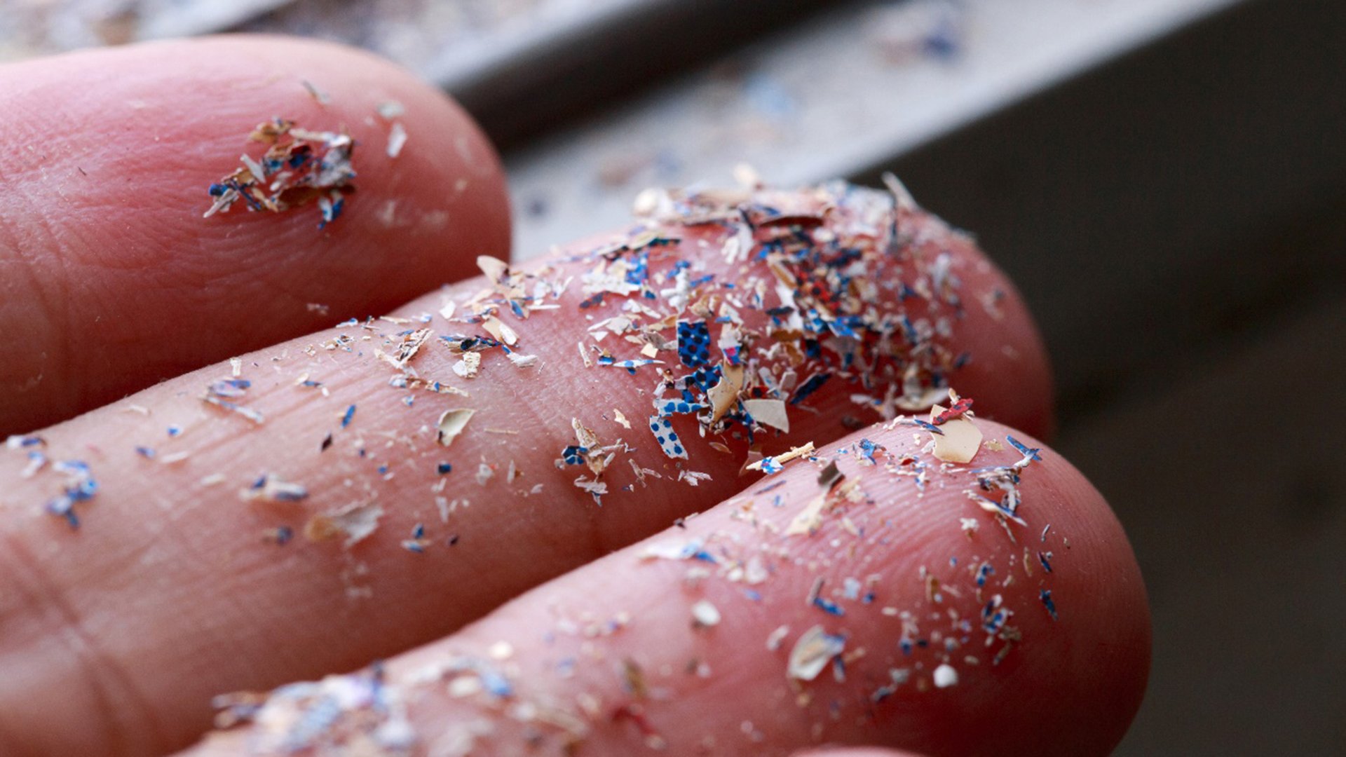 Microplastic pieces in hand.