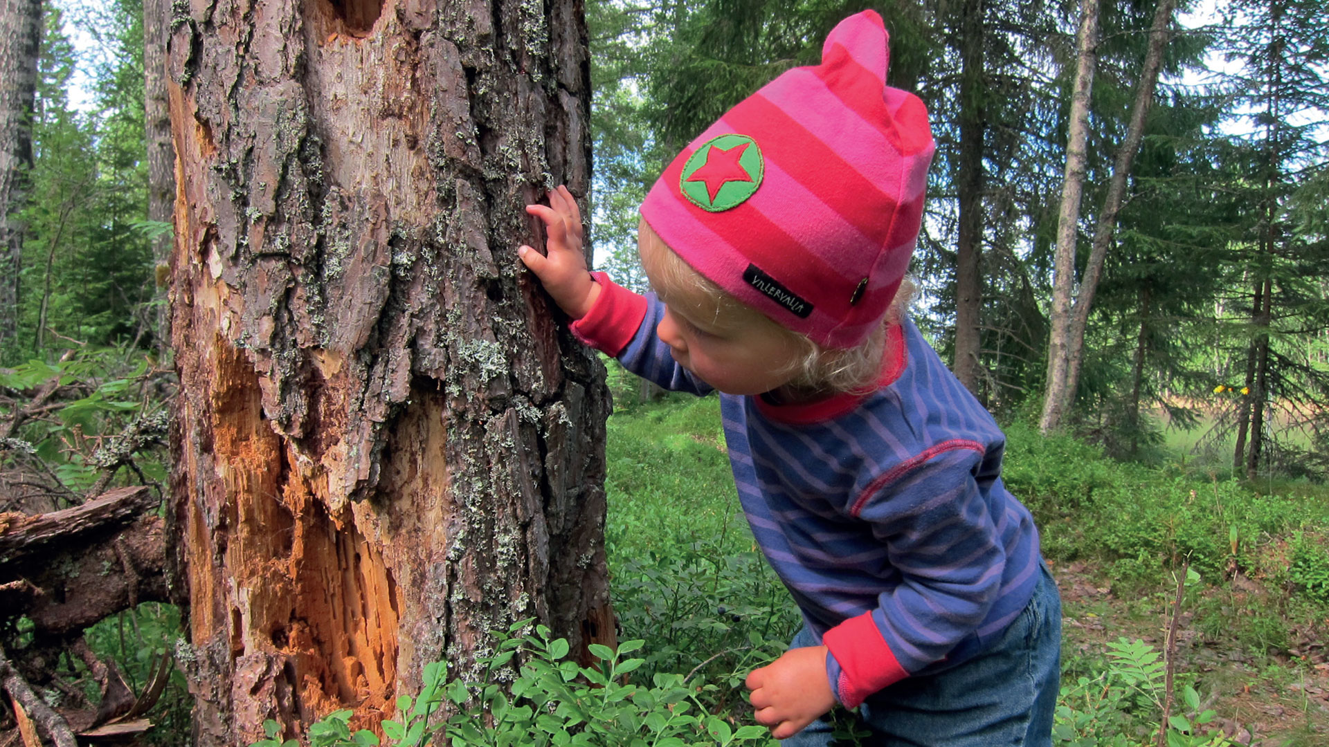 Ett litet barn står vid ett träd i skogen.