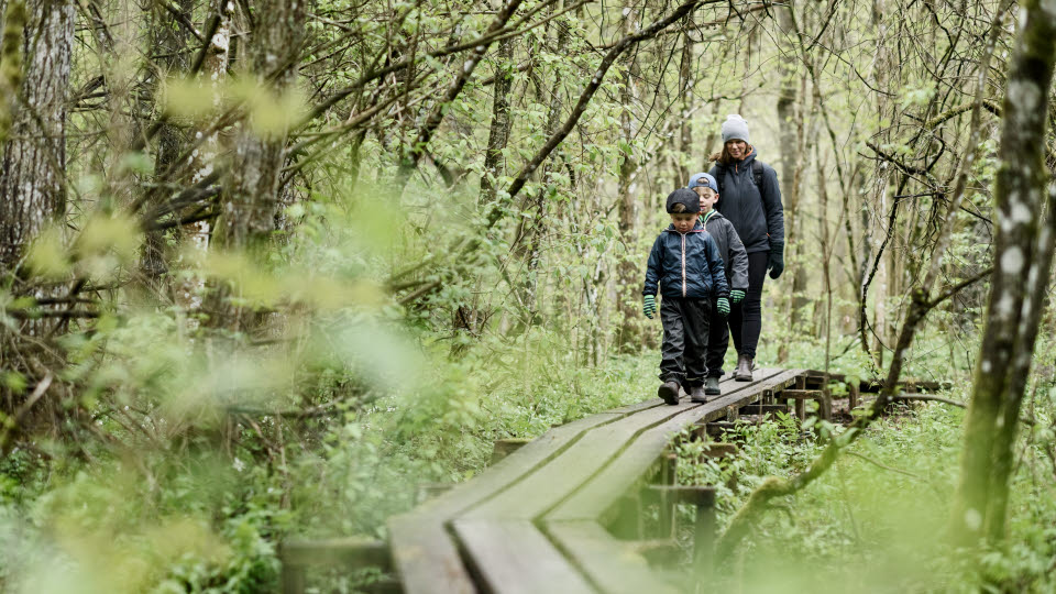 Mamma med barn i vårskog, Säveåns naturreservat, Lerum